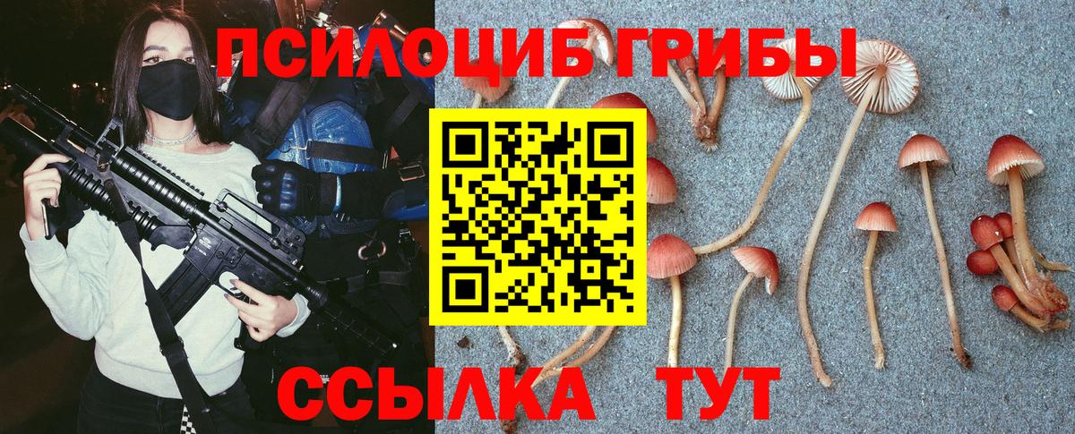 Галлюциногенные грибы Cubensis Нарткала