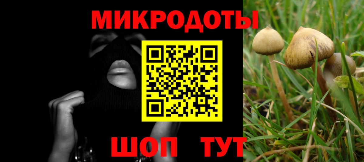 Псилоцибиновые грибы Psilocybine cubensis  Вход с VPN  Нарткала 